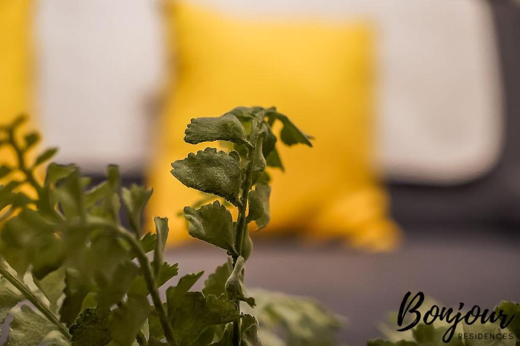Spacious 2Br-1Ba - Grassmarket - Free Parking By Bonjour Residences Edinburgh Luaran gambar